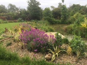 Wading pool garden- call handling does gardening